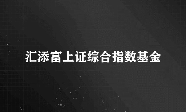 汇添富上证综合指数基金