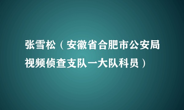 张雪松（安徽省合肥市公安局视频侦查支队一大队科员）
