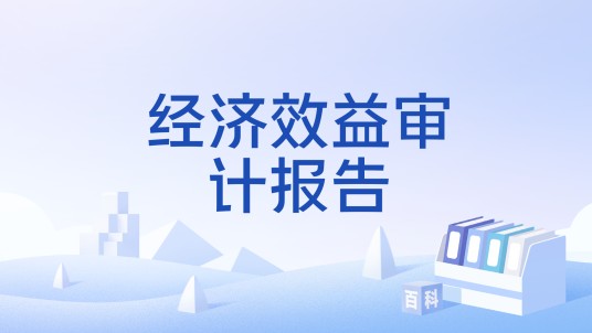 经济效益审计报告