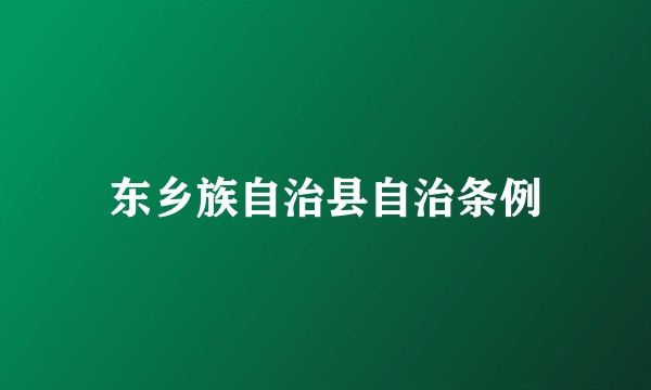 东乡族自治县自治条例