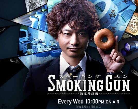 SMOKING GUN~决定的证据~
