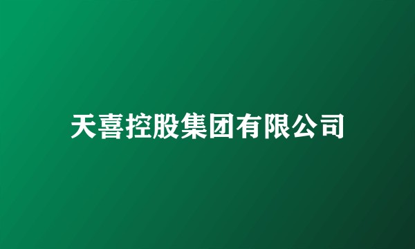天喜控股集团有限公司