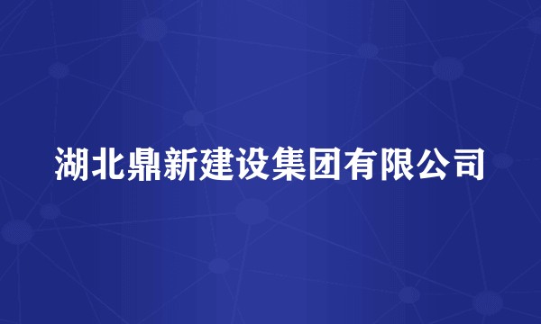 湖北鼎新建设集团有限公司