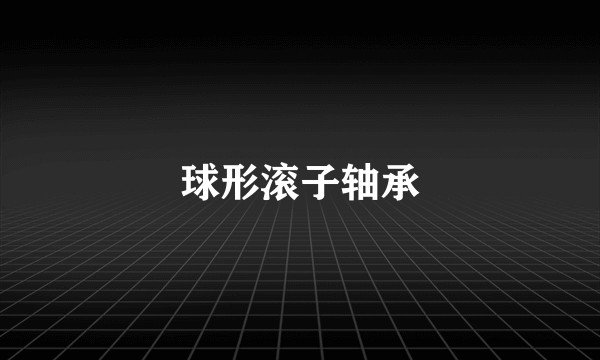 球形滚子轴承