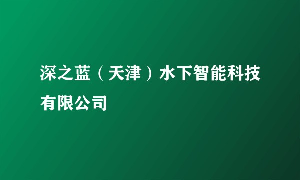 深之蓝（天津）水下智能科技有限公司