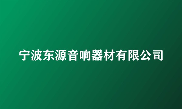 宁波东源音响器材有限公司