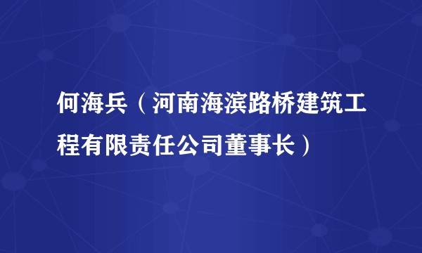 何海兵（河南海滨路桥建筑工程有限责任公司董事长）