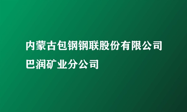 内蒙古包钢钢联股份有限公司巴润矿业分公司