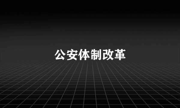 公安体制改革
