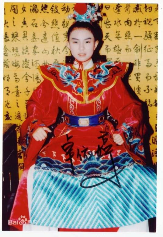 盖世皇太子（中国台湾1991年卓依婷主演的电视剧）