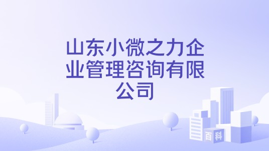 山东小微之力企业管理咨询有限公司