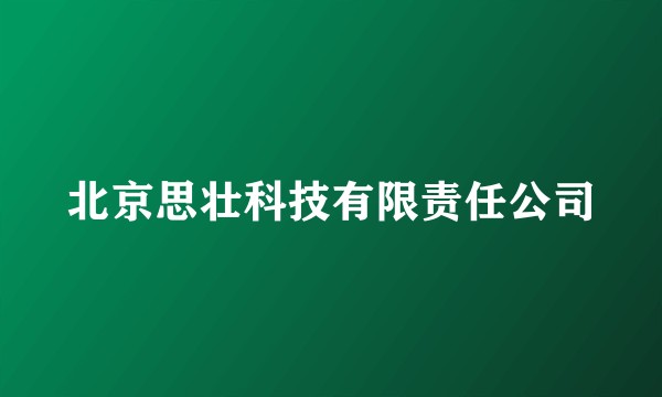 北京思壮科技有限责任公司