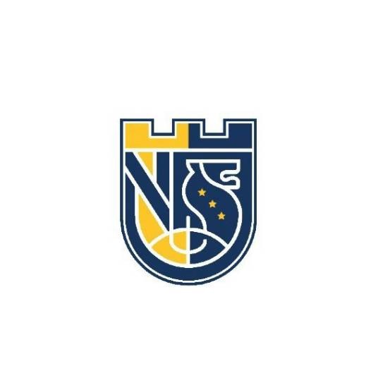 深圳市中新中学