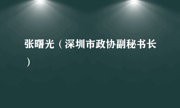 张曙光（深圳市政协副秘书长）