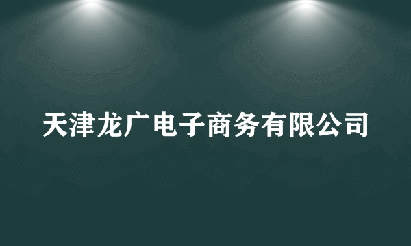 天津龙广电子商务有限公司