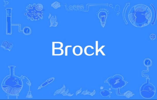 Brock（The Malamondos演唱的歌曲）