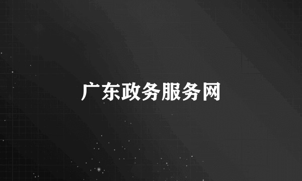 广东政务服务网
