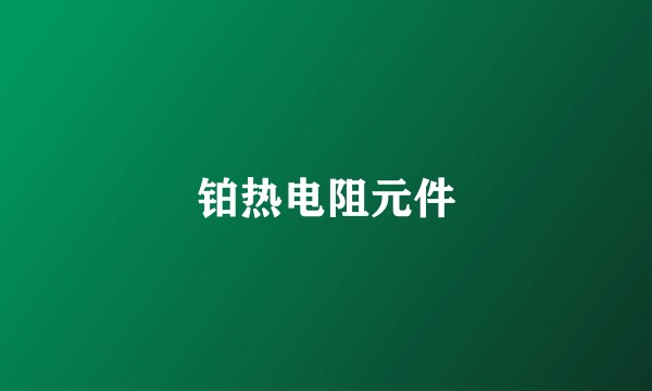 铂热电阻元件