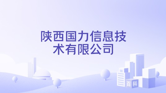 陕西国力信息技术有限公司