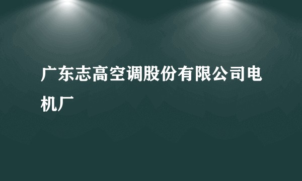 广东志高空调股份有限公司电机厂