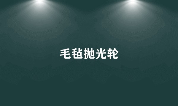 毛毡抛光轮