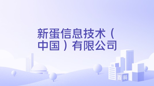 新蛋信息技术（中国）有限公司