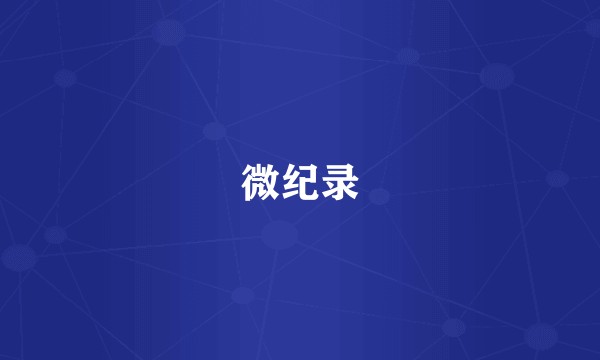 微纪录