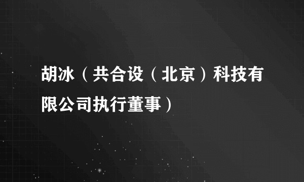 胡冰（共合设（北京）科技有限公司执行董事）