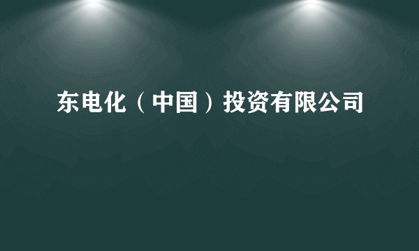 东电化（中国）投资有限公司