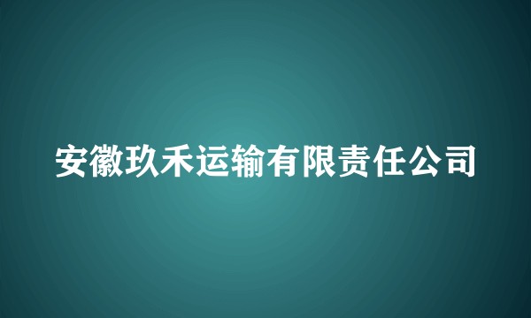 安徽玖禾运输有限责任公司