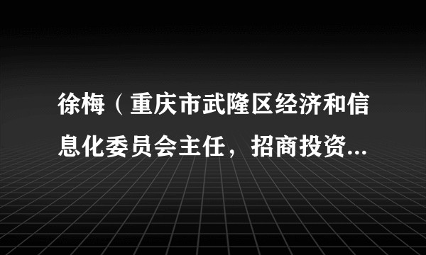徐梅（重庆市武隆区经济和信息化委员会主任，招商投资促进局局长（兼））