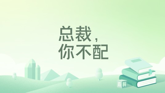 总裁，你不配