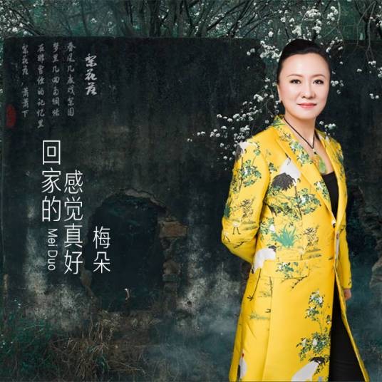 回家的感觉真好（梅朵发行的专辑）