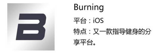 Buring（软件）