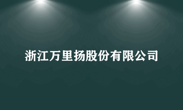 浙江万里扬股份有限公司