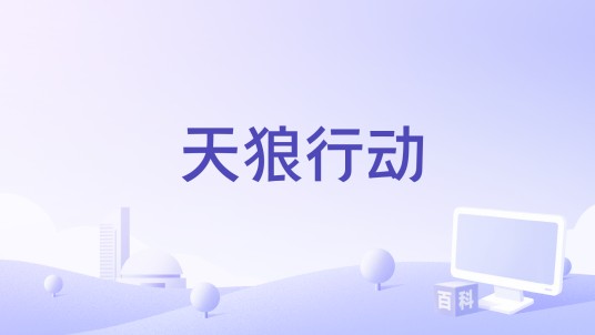 天狼行动（反恐枪战题材电影）