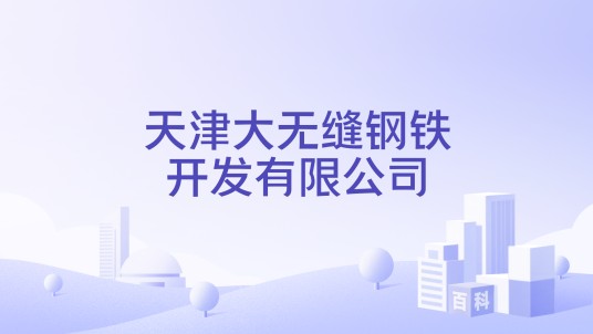 天津大无缝钢铁开发有限公司