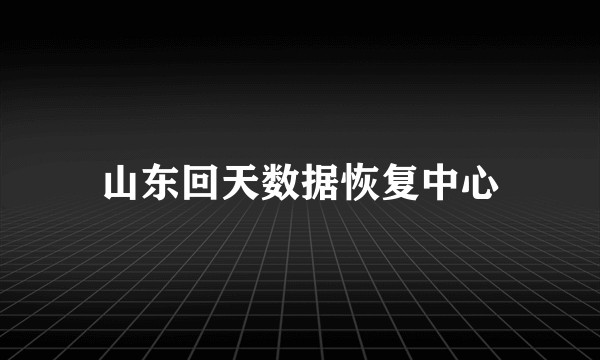 山东回天数据恢复中心