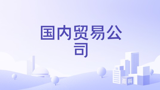 国内贸易公司