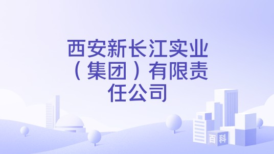 西安新长江实业（集团）有限责任公司
