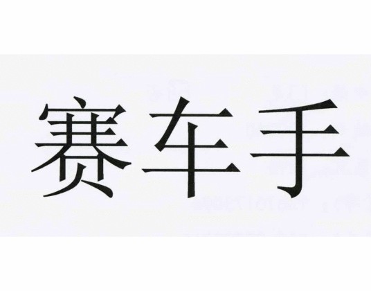 赛车手（中国汽车化学制品品牌）