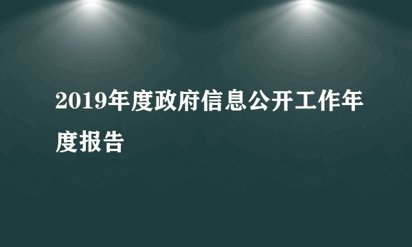 2019年度政府信息公开工作年度报告