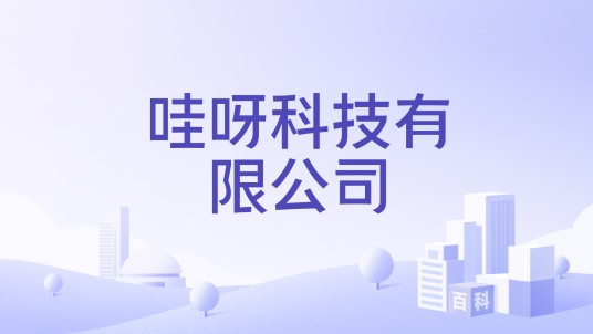 哇呀科技有限公司
