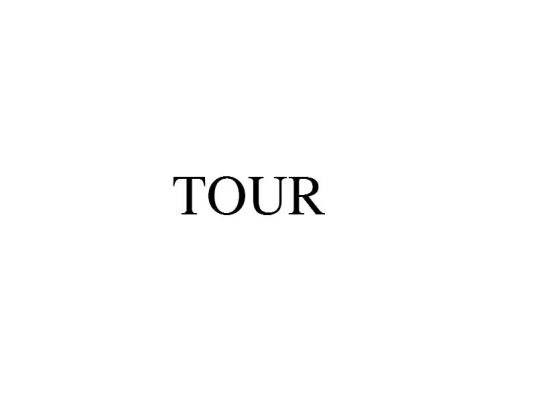 TOUR(巡回演唱会)
