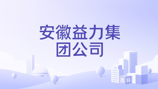 安徽益力集团公司