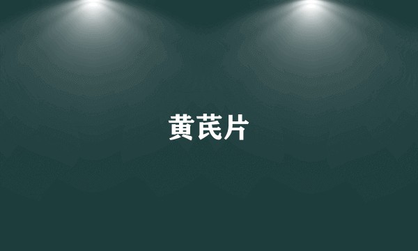 黄芪片