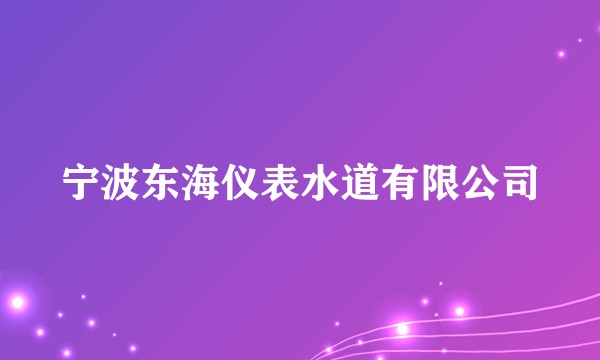 宁波东海仪表水道有限公司