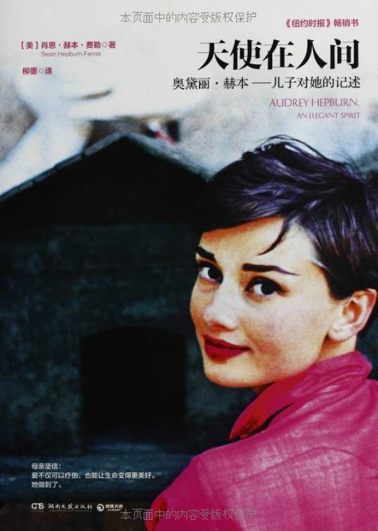 天使在人间（2009年陕西师范大学出版社出版的图书）