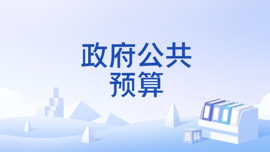政府公共预算