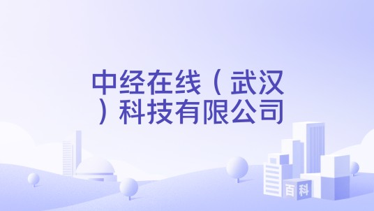 中经在线（武汉）科技有限公司